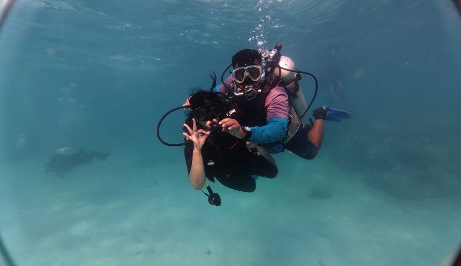 Best Time to Go Scuba Diving Around the World